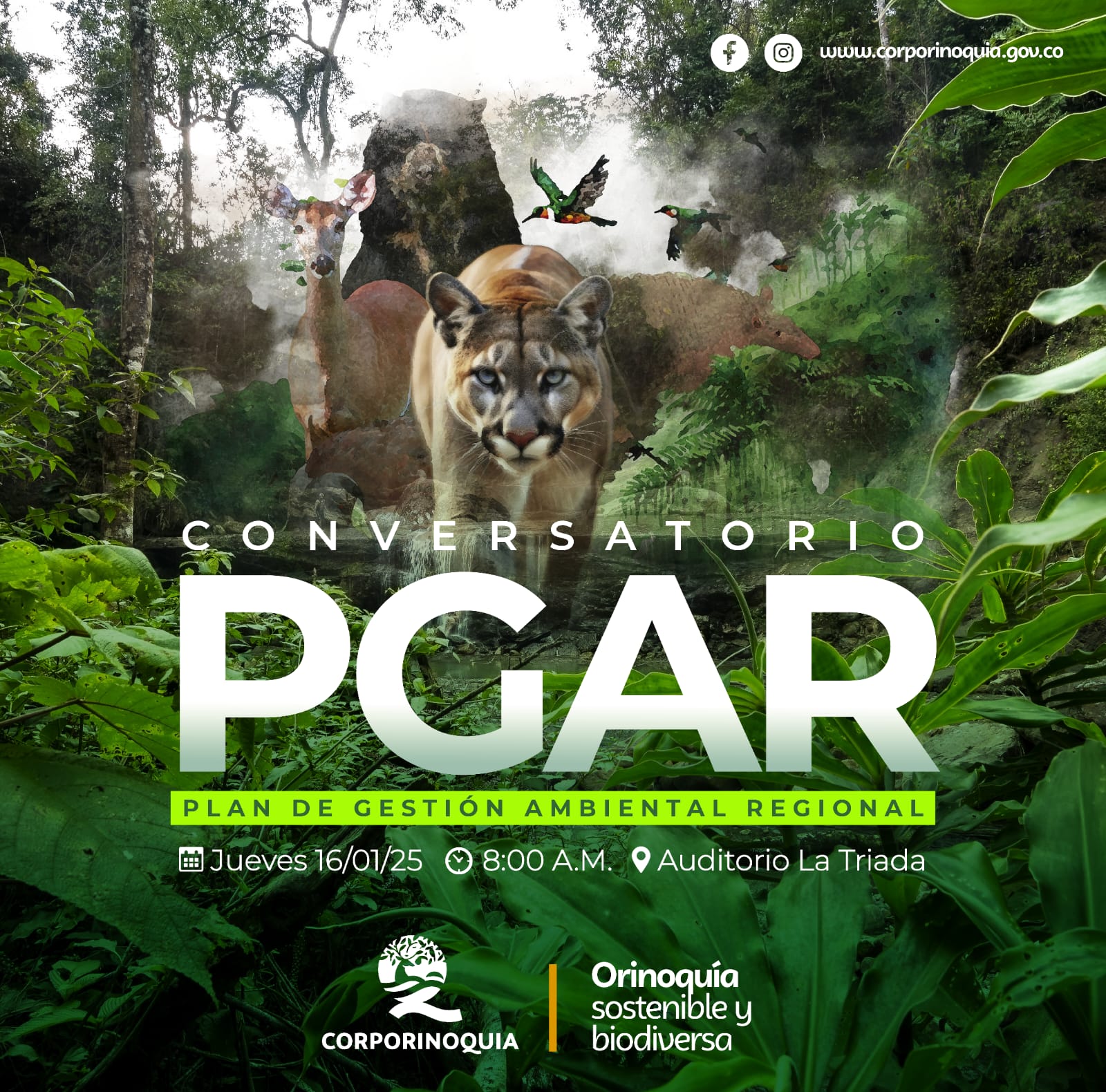 Corporinoquia trabaja en la proyección de la Orinoquía colombiana para los próximos 12 años, a través de la Formulación del Plan de Gestión Ambiental Regional – PGAR