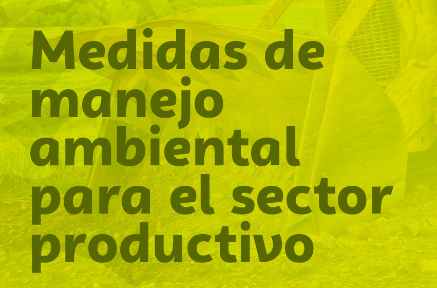 Medidas de manejo ambiental para el sector productivo (agrícola, forestal y agroindustrial)