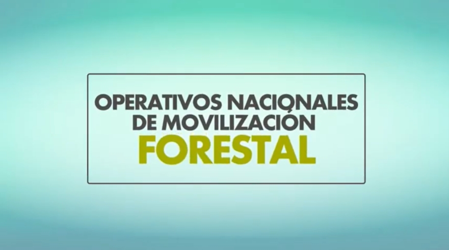 Infografía Gobernanza Forestal