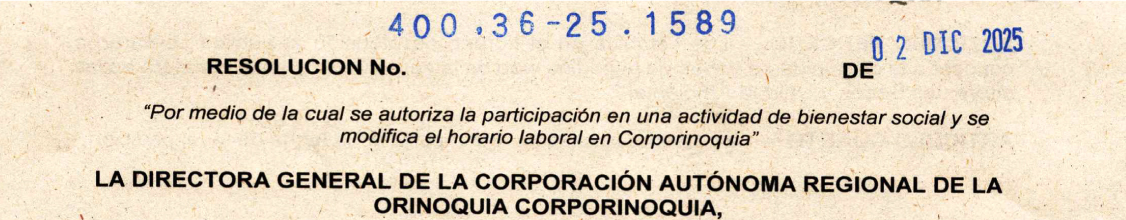 resolucion-actividad