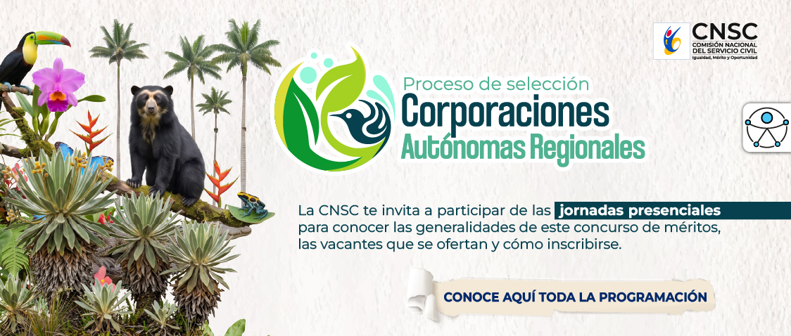 car-banner-socializaciones