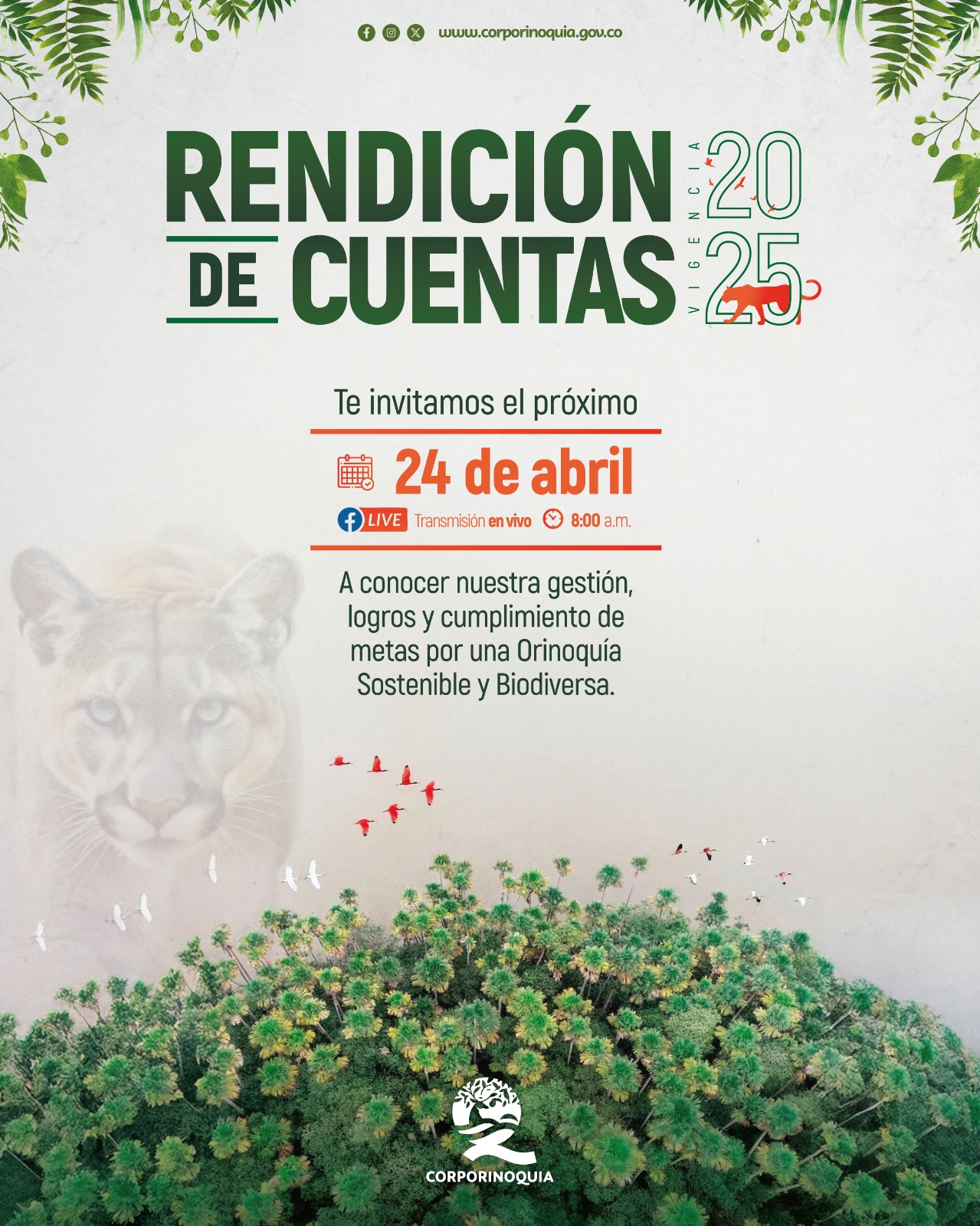 ¿Cómo avanza la sostenibilidad en la Orinoquía? Corporinoquia presentará su informe de gestión vigencia 2025