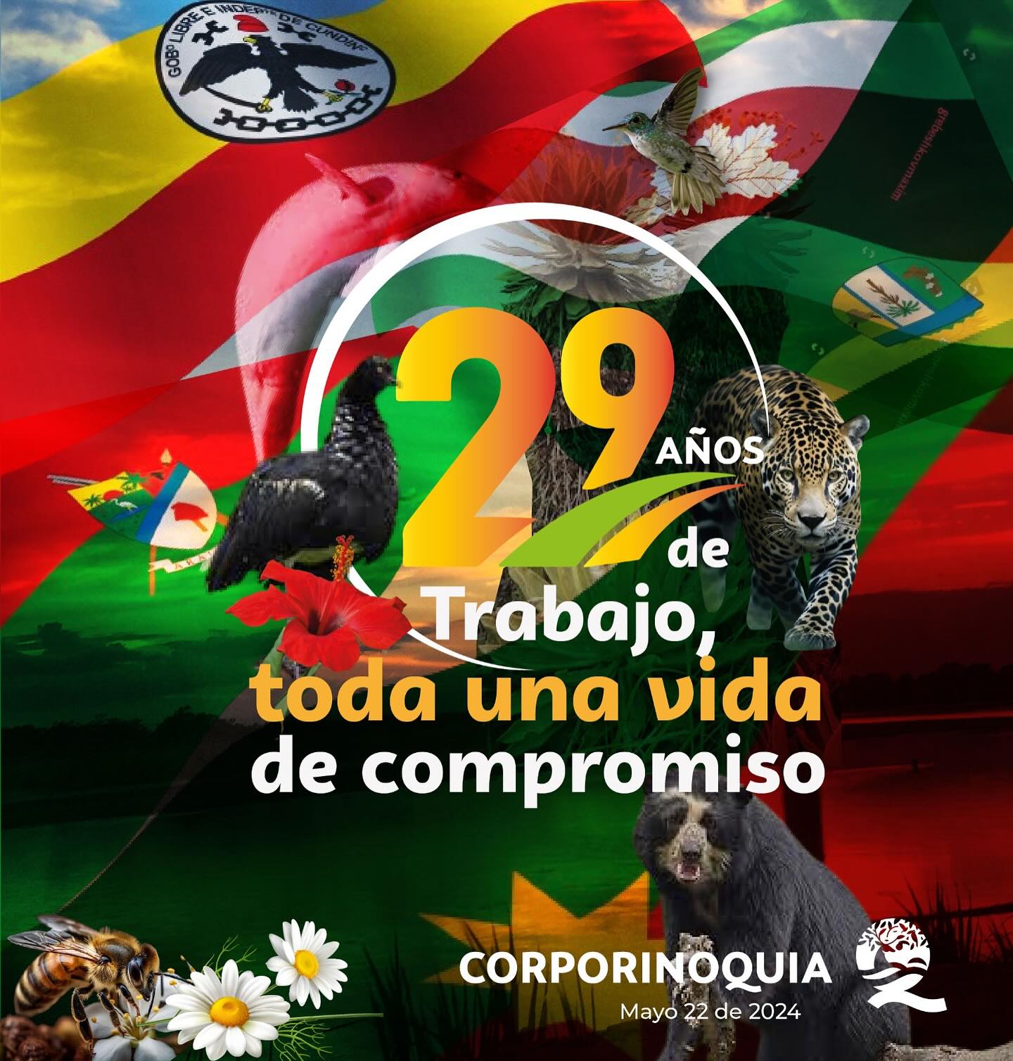 Corporinoquia Celebra 29 Años de Protección de los Recursos Naturales de la Orinoquia
