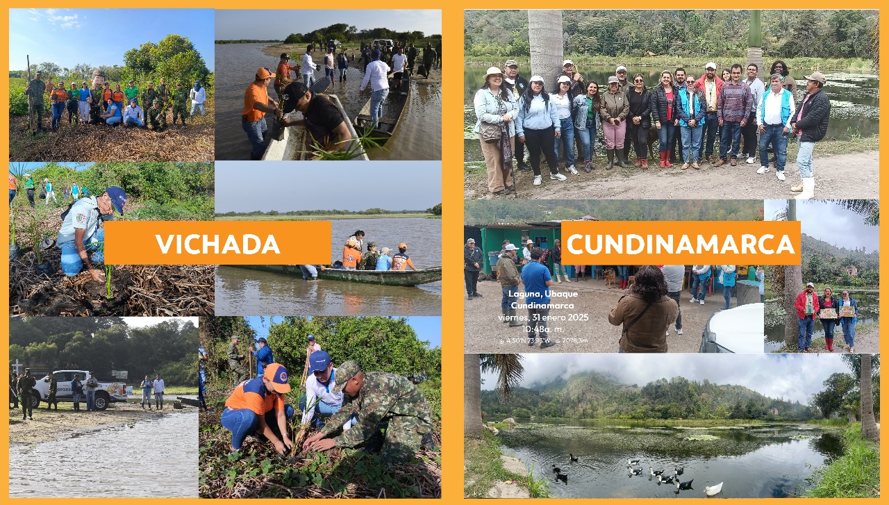 Corporinoquia en territorio  Celebramos el Día Mundial de los Humedales