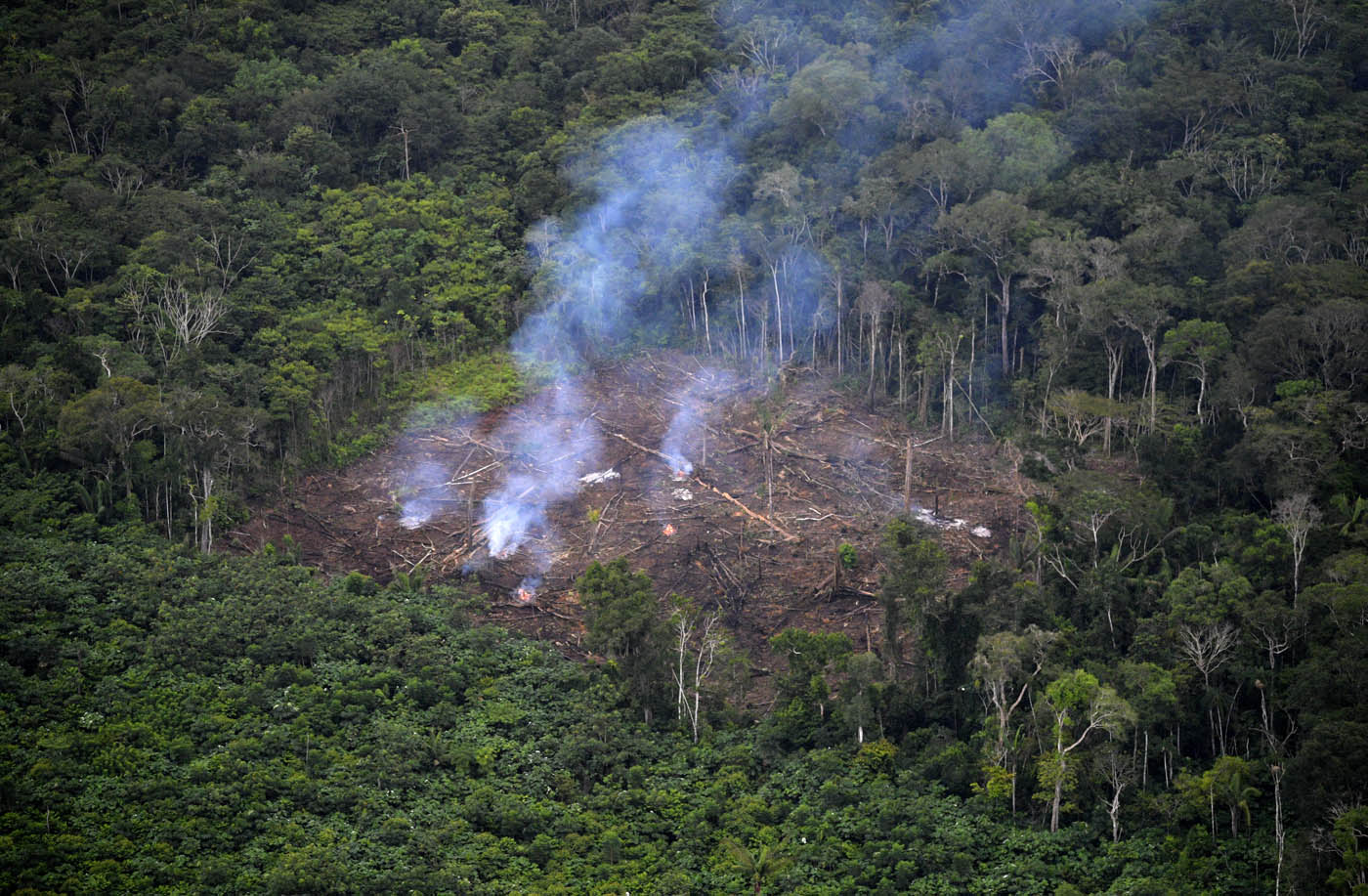 Corporinoquia Reporta 153 Alertas por Deforestación en Arauca Durante el Segundo Trimestre de 2024