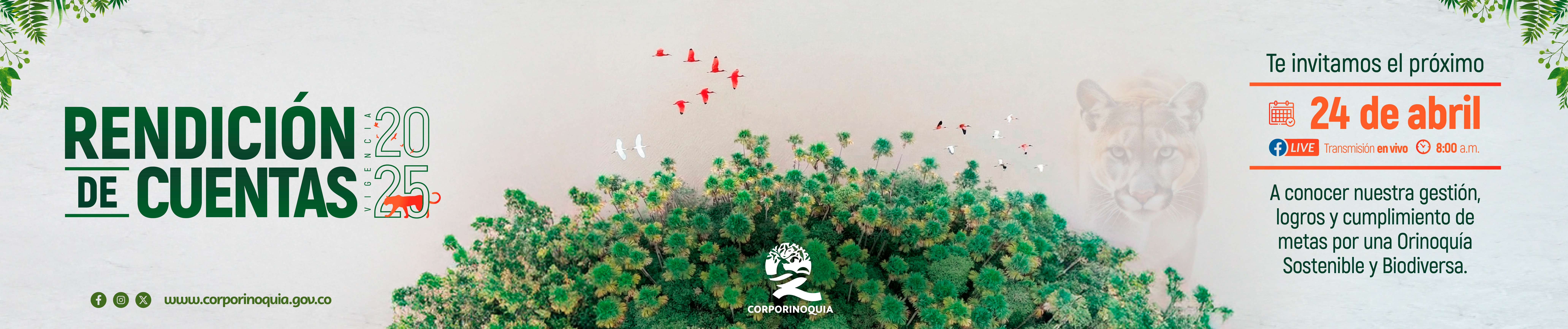 RENDICION-DE-CUENTAS-BANNER-WEB-03