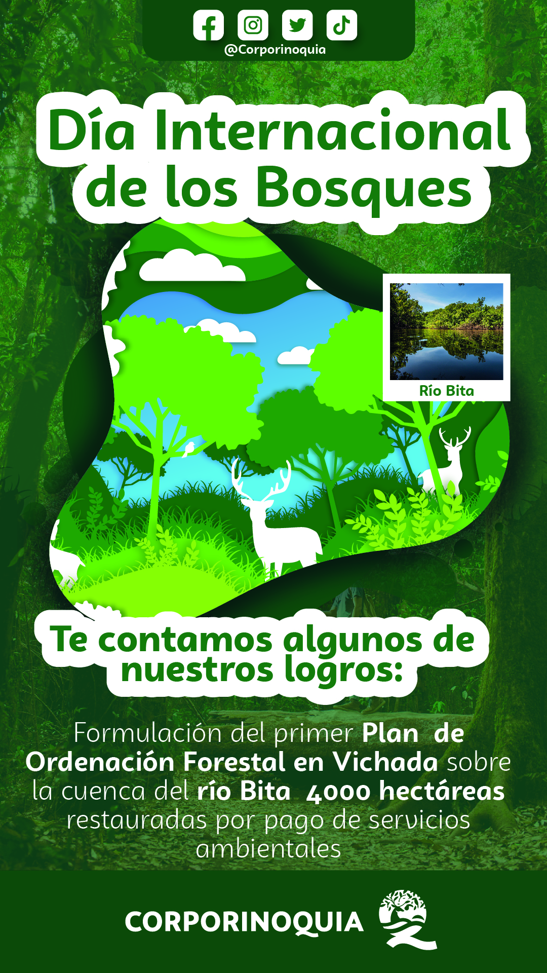 Día Mundial de la Conservación de los Bosques, Corporinoquia mantiene acciones