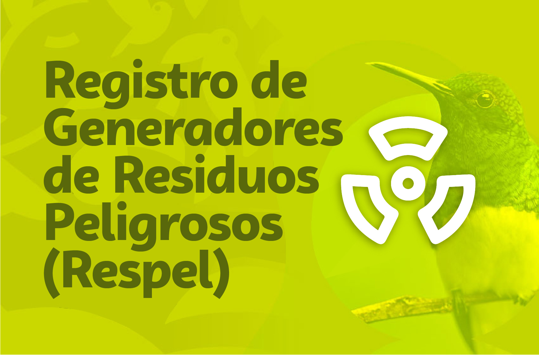 Registro de Generadores de Residuos Peligrosos (Respel)