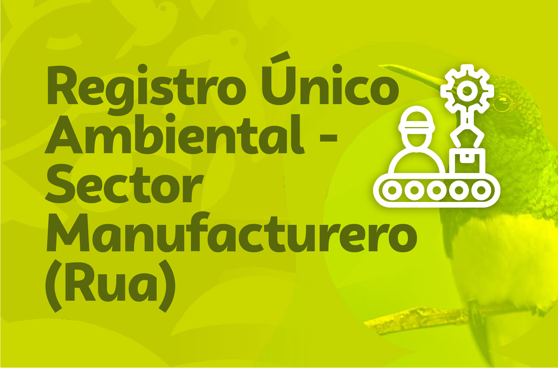 Registro Único Ambiental - Sector Manufacturero (Rua)
